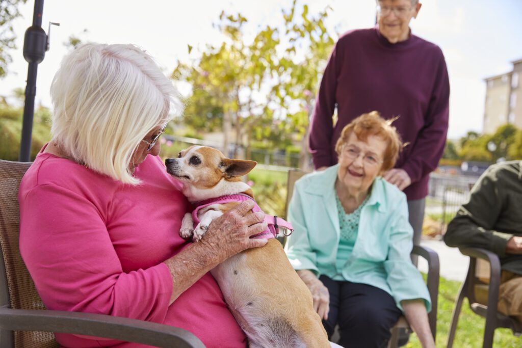 Woman holding dog with friends